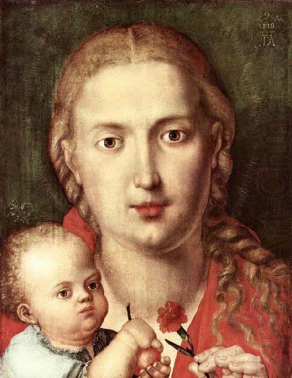Albrecht Durer The Madonna of the Carnation china oil painting image